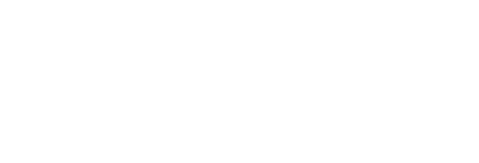 Finmeccanica